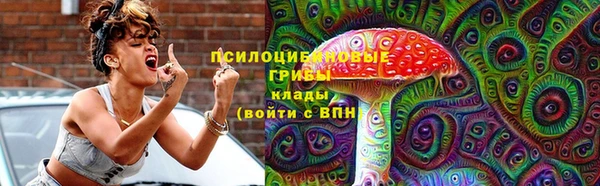 спайс Алзамай