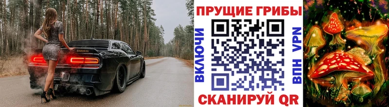 Галлюциногенные грибы мухоморы Шуя