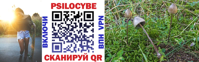 Галлюциногенные грибы Magic Shrooms  Шуя 