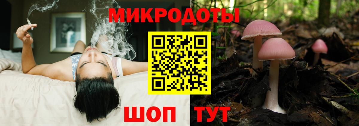 Галлюциногенные грибы Cubensis  Вход с VPN  Шуя 